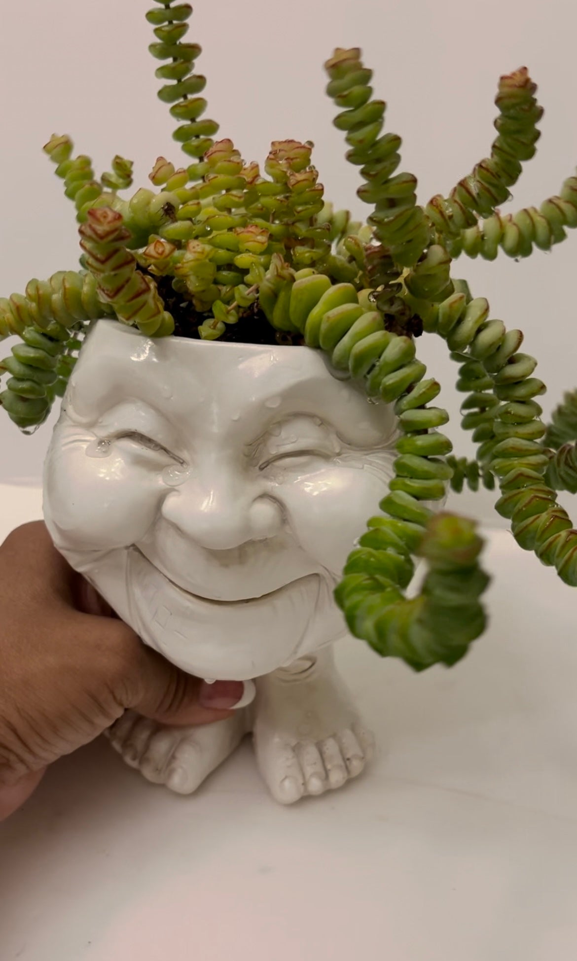 Happy Granny Planter **REQUIRES Any Two Plant/Item Purchase **| Fun Planters | Succulent Pot |