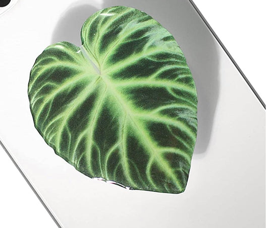 FREE with a $15 Purchase** Anthurium Magnificum Phone Grip | Free Shipping