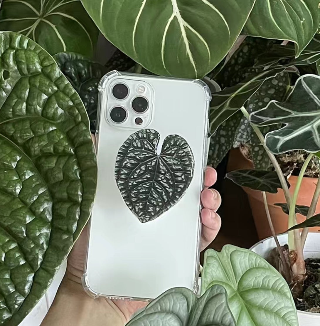 FREE With A $15 Purchase** Anthurium Luxurians  Phone Grip | Free Shipping