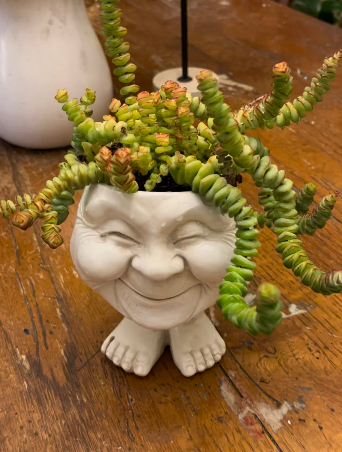 Happy Granny Planter **REQUIRES Any Two Plant/Item Purchase **| Fun Planters | Succulent Pot |