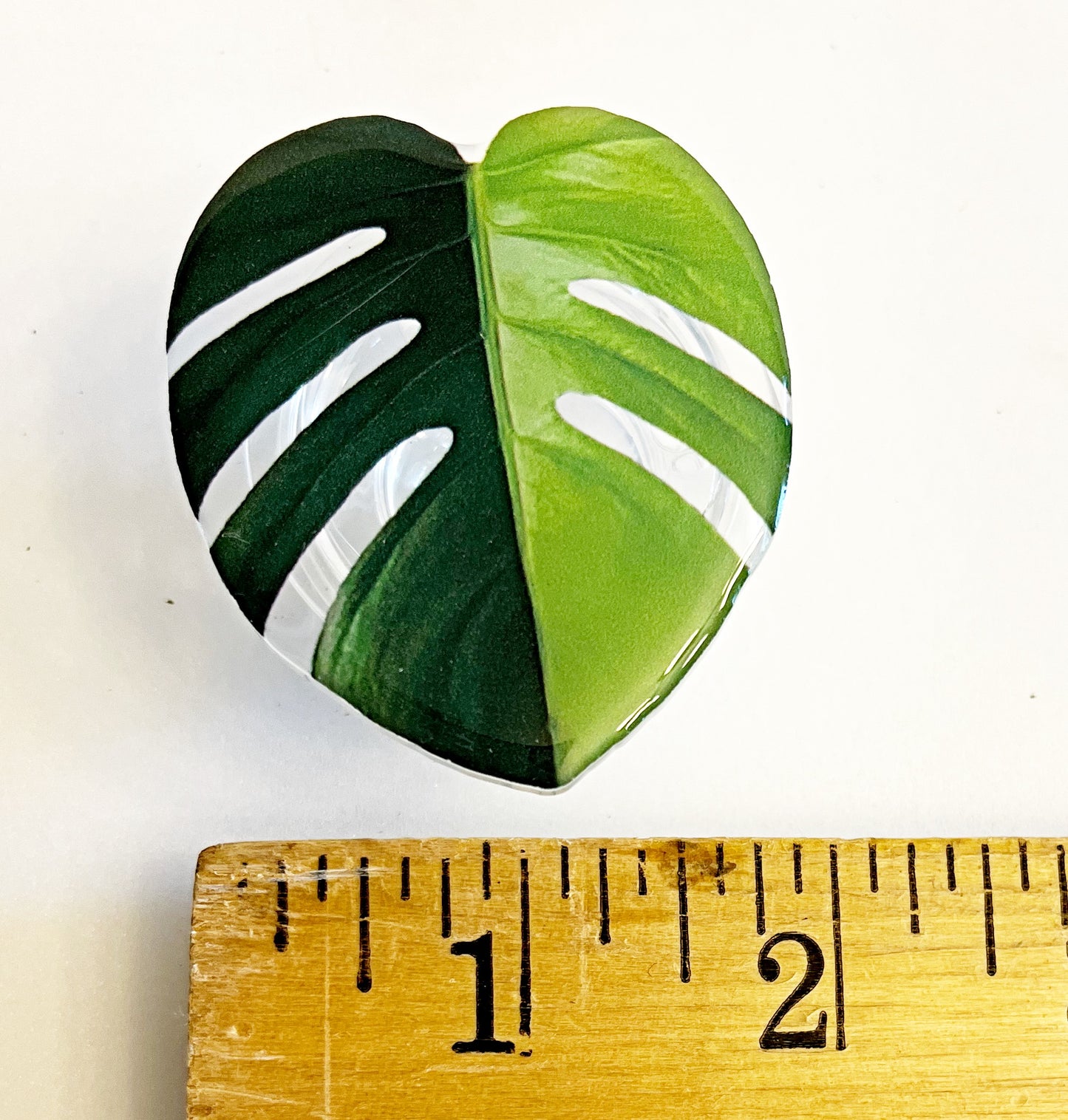 FREE with $15 or More Purchase ** Monstera Aurea Phone Grip