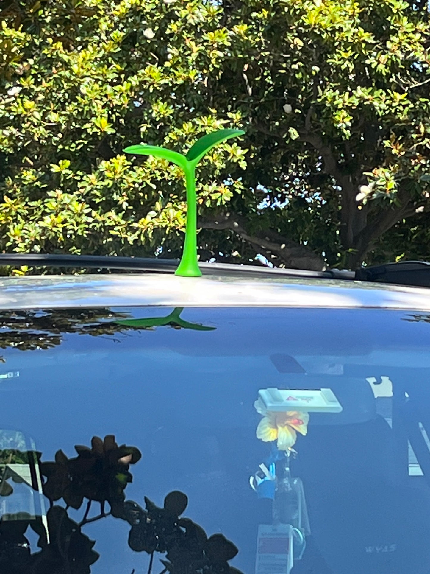 FREE With A $15 Purchase** Sprout 🌱 Car Antenna **