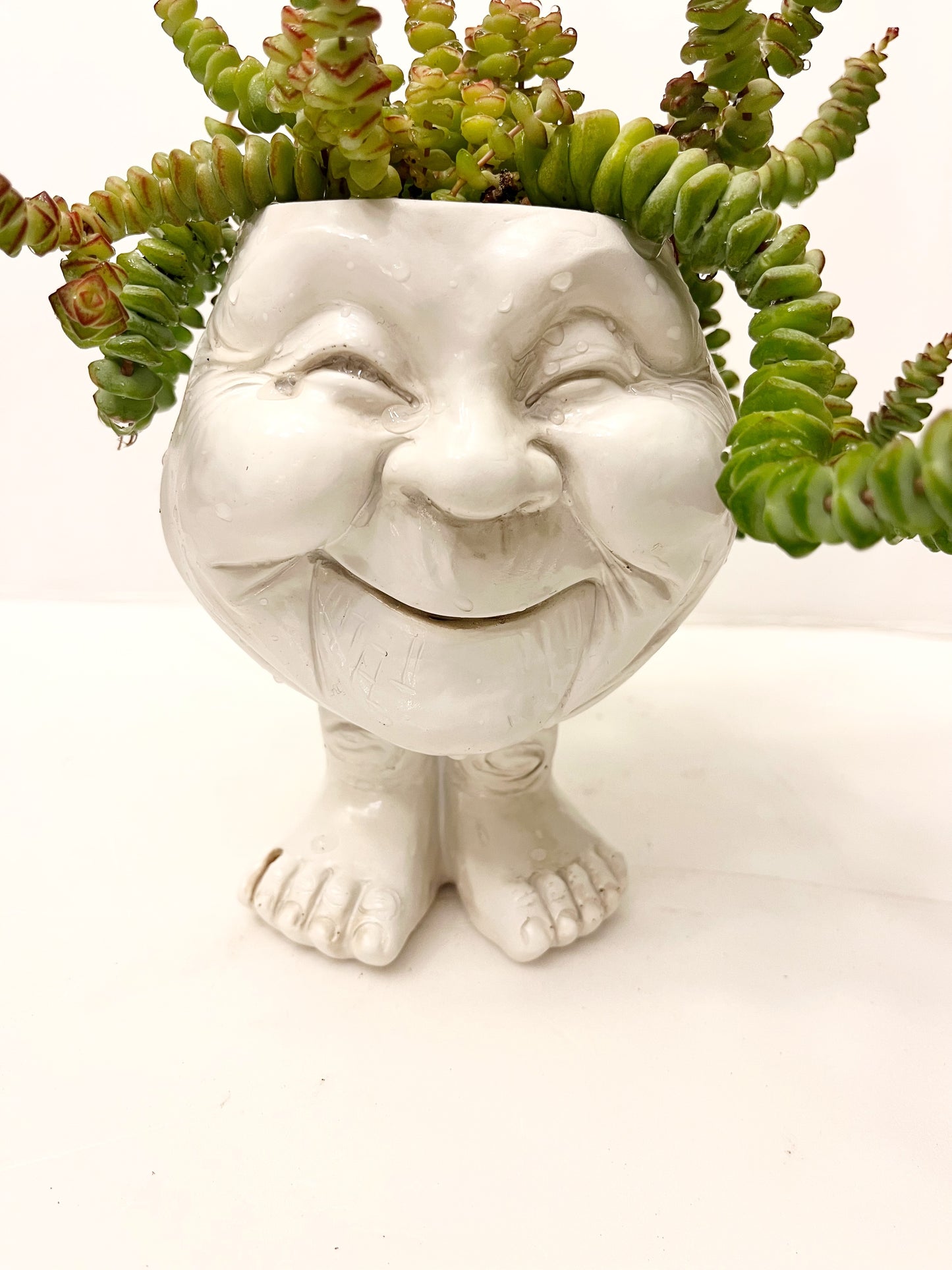 Happy Granny Planter **REQUIRES Any Two Plant/Item Purchase **| Fun Planters | Succulent Pot |