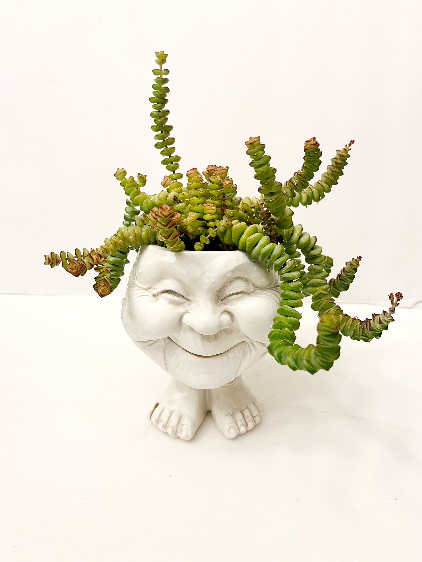 Happy Granny Planter **REQUIRES Any Two Plant/Item Purchase **| Fun Planters | Succulent Pot |